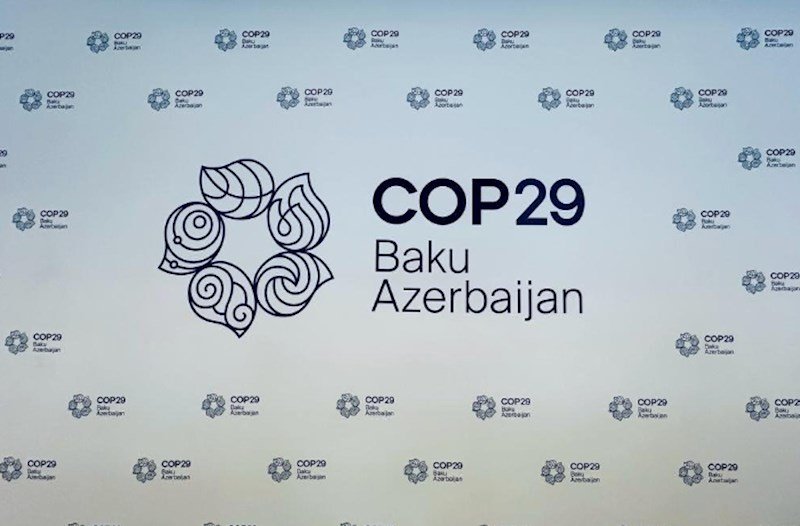 COP29 könüllüləri İçərişəhərdə ekoloji aksiya təşkil edib