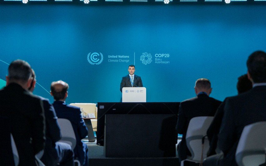 Taleh Kazımov: "İnnovativ həllər özəl sektorun iqlim investisiyalarını asanlaşdıracaq"