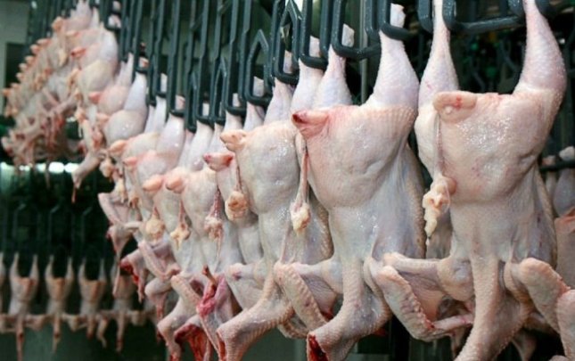 Bu şirkətlərin quş ətlərində bakteriya aşkarlandı