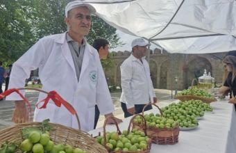 Naxçıvanda “Göycə” festivalı keçirilir