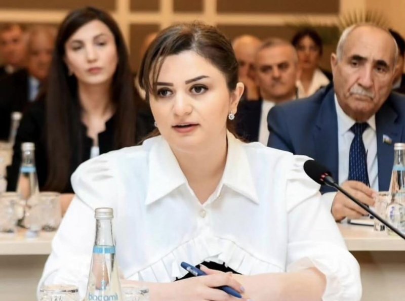 Ombudsman: "Naxçıvanxəbərləri" əhalinin insan hüquqları ilə bağlı məlumatlılıq səviyyəsinin artırılmasına töhfə verir