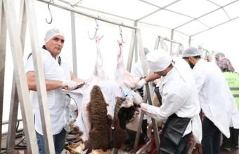 135 ünvanda qurbanlıq heyvanların satışı və kəsimi xidmətləri göstərilir -