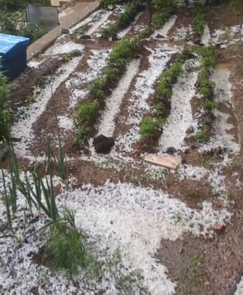 Culfaya dolu yağıb -