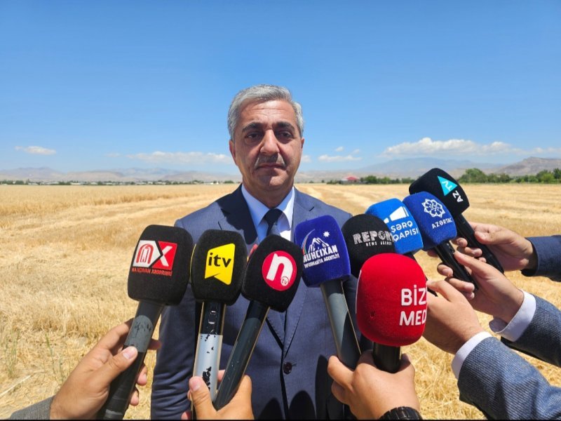 Nazir : Naxçıvanda 2025-ci ilin ilk 5 ayında bitkiçilikdə 4,5 faiz yüksəliş qeydə alınıb