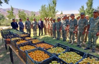 Şahbuzda 5600 kiloqram meyvə hərbi hissəyə təhvil verildi -