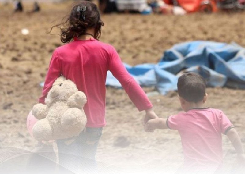 Son beş ildə 556 nəfər Azərbaycana repatriasiya edilib