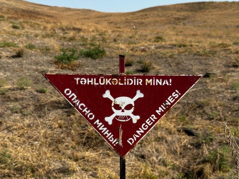 Ötən həftə 1300 hektardan çox ərazi minalardan təmizlənib