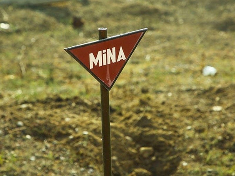 Ötən həftə 1600 hektardan çox ərazi minalardan təmizlənib