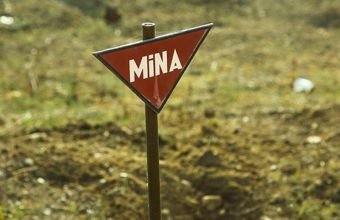 Ötən həftə 1600 hektardan çox ərazi minalardan təmizlənib
