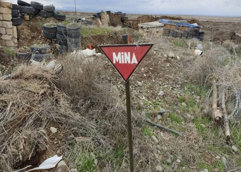 Ötən həftə 2331.8 hektar ərazi minalardan təmizlənib