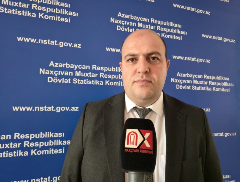Pərvin Hacıyev: Naxçıvanın xarici ticarət dövriyyəsi 69 milyon dollara çatıb