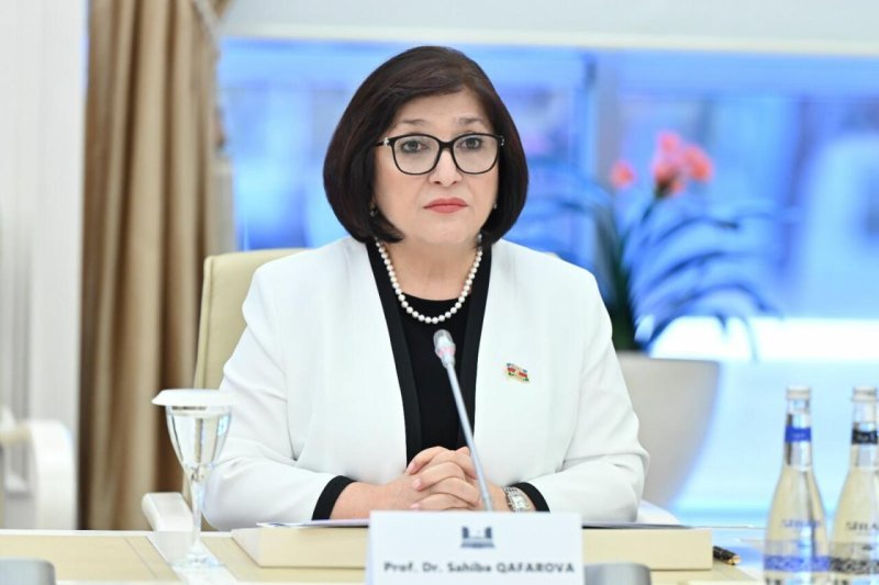 Sahibə Qafarova parlamentlərarası əməkdaşlığa çağırış edib