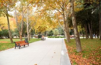 Sentyabr ayında Naxçıvanda hava necə olacaq?