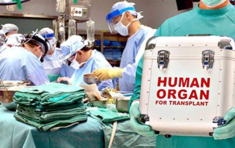Azərbaycanda 544 nəfər ölümündən sonra donor olmaq üçün qeydiyyatdadır
