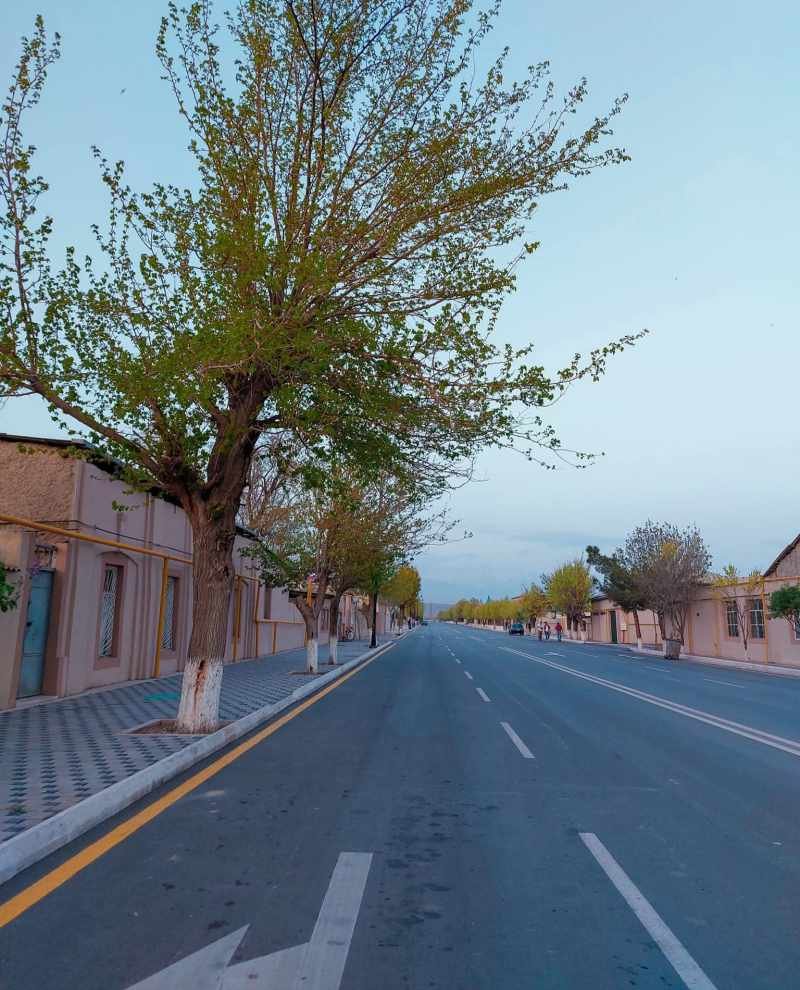 Culfada külək güclənib