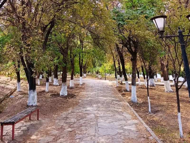 Naxçıvanda 28 dərəcəyədək isti qeydə alınıb