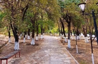 Naxçıvanda 28 dərəcəyədək isti qeydə alınıb