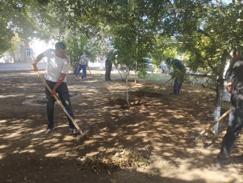 Naxçıvanda yaşıllıqların qorunması istiqamətində tədbirlər davam etdirilir -