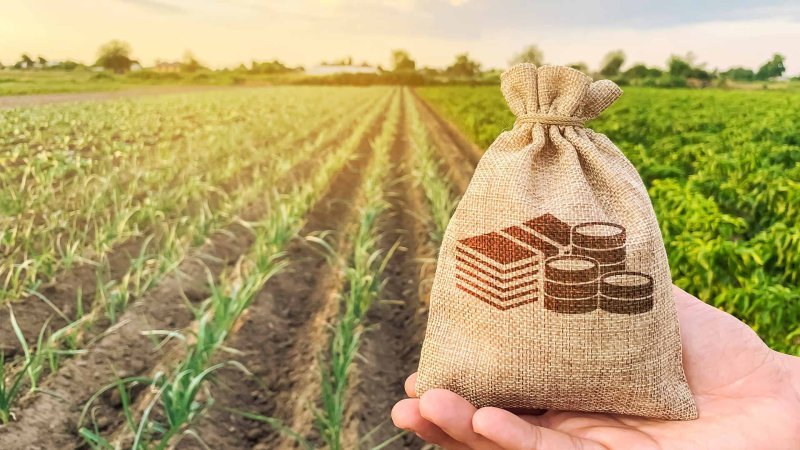 Azərbaycan kənd təsərrüfatı xərclərini 16 %-dən çox artırıb