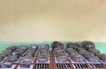 İrandan Azərbaycana narkotik keçirilməsinin qarşısı alınıb