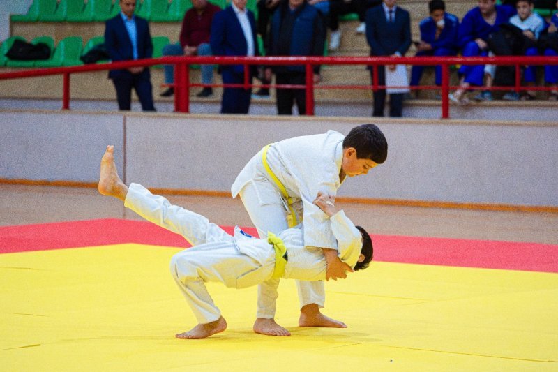 Naxçıvanda cüdoçular üçün rəsmi imtahan keçirilib -