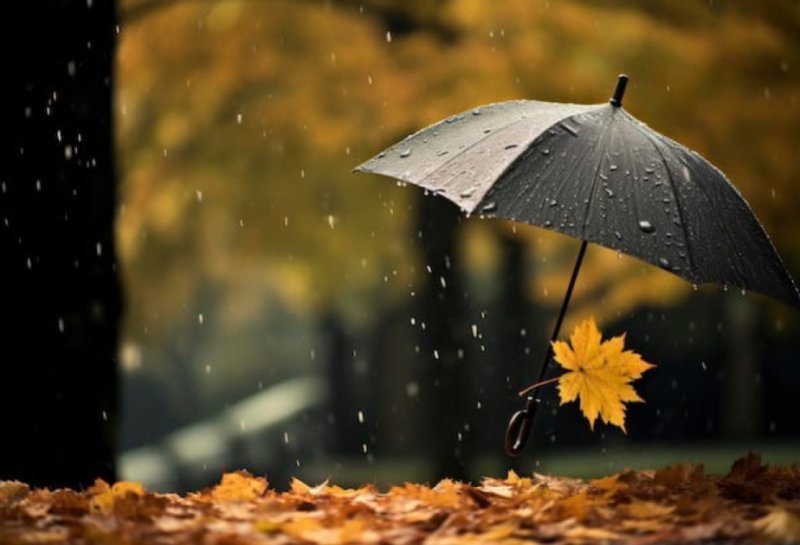 Ölkə ərazisində hava necə olub? -