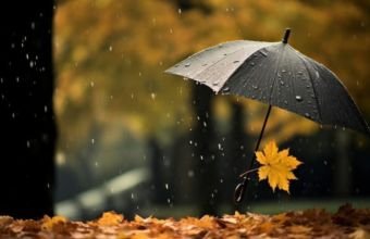 Ölkə ərazisində hava necə olub? -