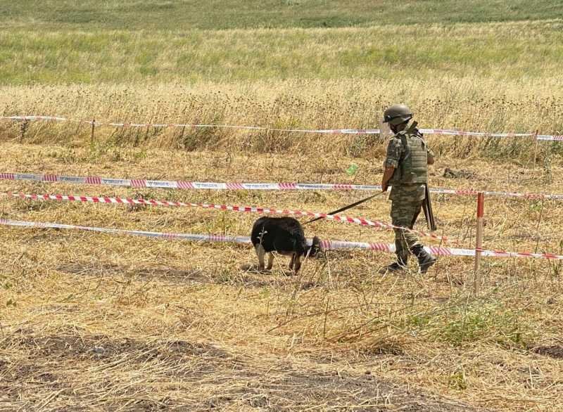 Ötən həftə nə qədər ərazi minalardan təmizlənib?