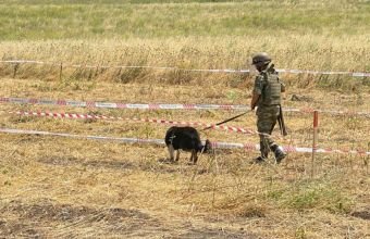 Ötən həftə nə qədər ərazi minalardan təmizlənib?