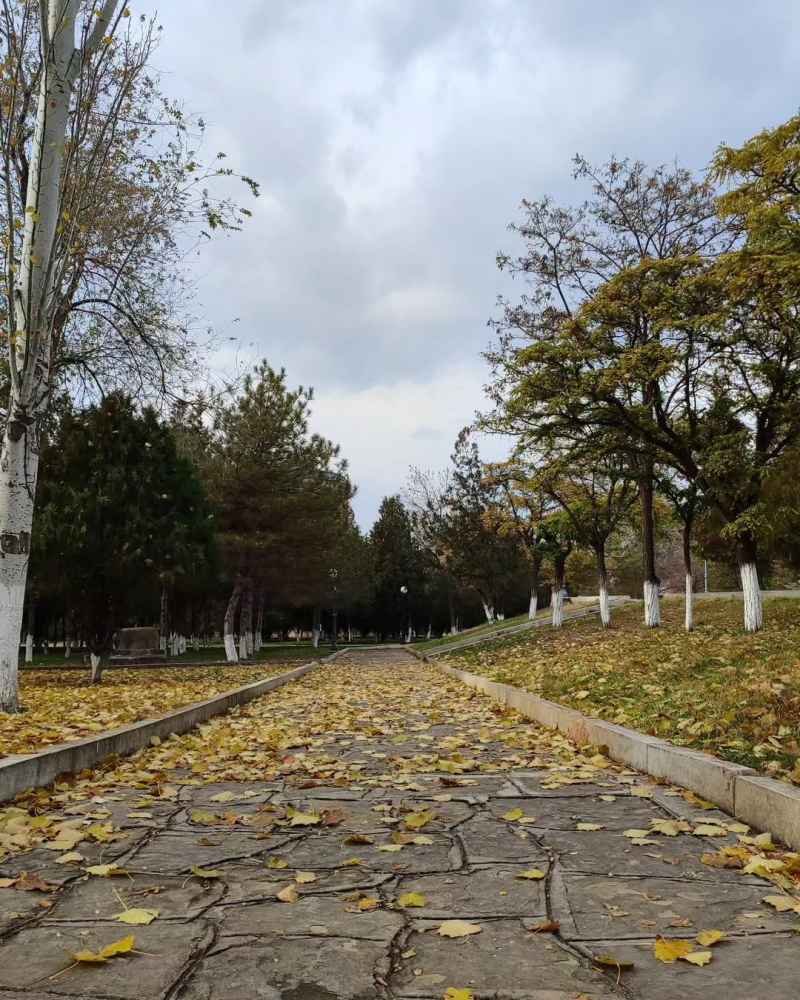 Sabah bəzi rayonlara yağış və sulu qar yağacaq -
