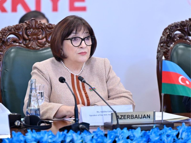 Sahibə Qafarova: Zəngəzur dəhlizi regionda əməkdaşlığa və tərəqqiyə xidmət edəcək