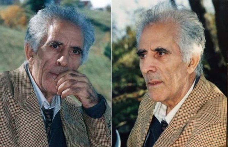 Şairlə görüş
