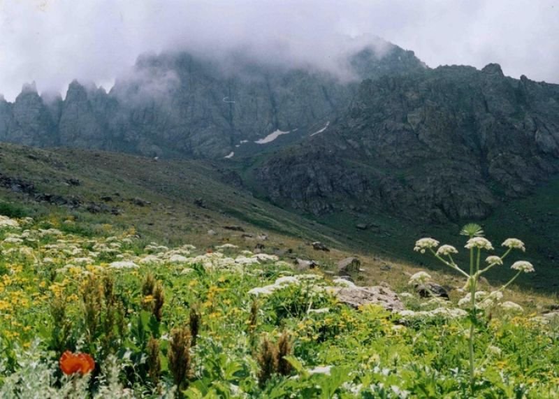 Şərur rayonunda güclü külək əsəcək