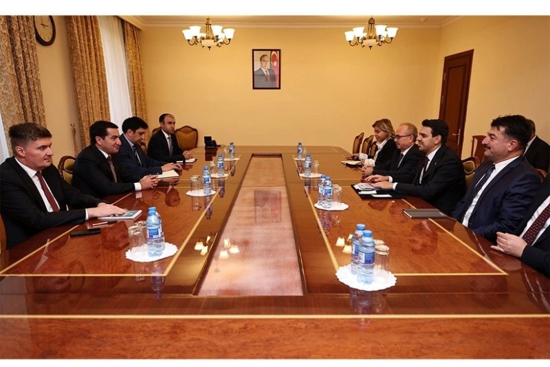 TİKA sədri Hikmət Hacıyevlə görüşüb