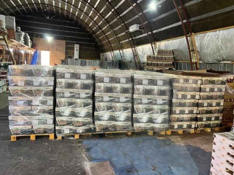 Türkiyədən Azərbaycana idxal olunan Antep fıstığında uyğunsuzluq aşkarlanıb