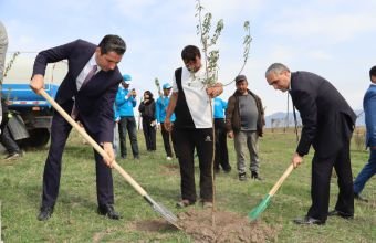 Xocalıda ağacəkmə aksiyası keçirilib -
