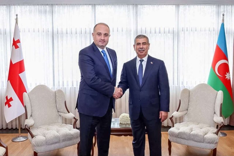 Zakir Həsənovla İrakli Çikovani arasında görüş keçirilib