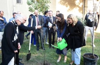 "ART Weekend" çərçivəsində "Püstə: canlı irs" performansı təqdim edilib