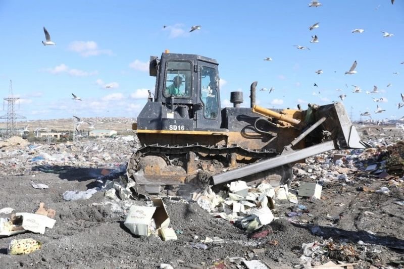 Azərbaycana gətirilmiş 480 kq dondurma istehlaka yararsız çıxıb