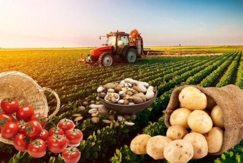 Azərbaycanda aqrar sektor 1 % böyüyüb