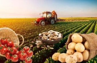 Azərbaycanda aqrar sektor 1 % böyüyüb