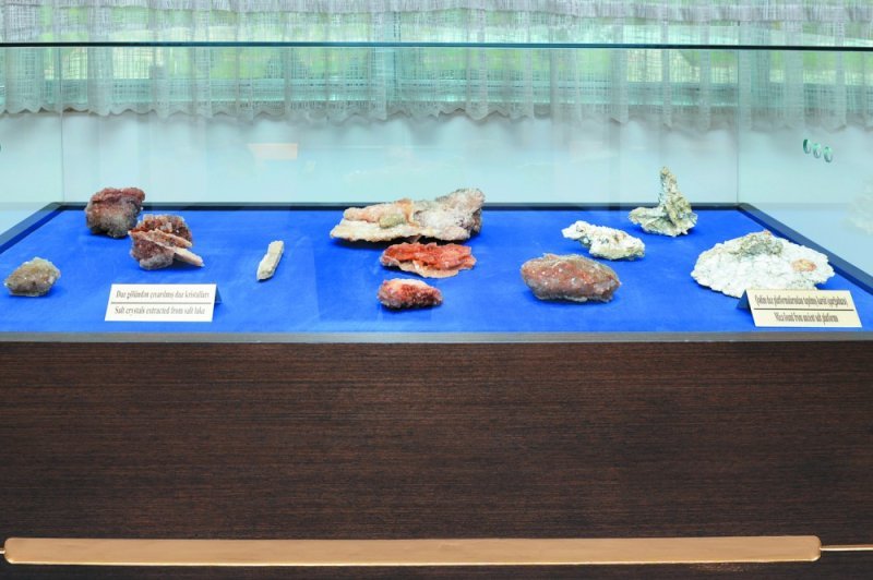 Ləğv edilən Naxçıvan Duz Muzeyinin eksponatları harda nümayiş olunacaq?