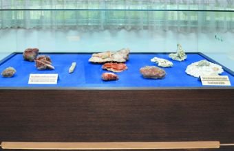 Ləğv edilən Naxçıvan Duz Muzeyinin eksponatları harda nümayiş olunacaq?