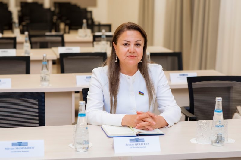 Müstəqil Azərbaycanın yeni tarixinin yazılmasında abidələrimizin əhəmiyyəti