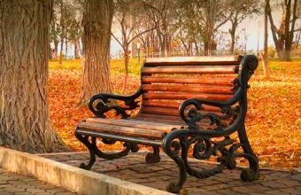 Naxçıvanda noyabr ayında temperatur 12 dərəcə yüksəlib