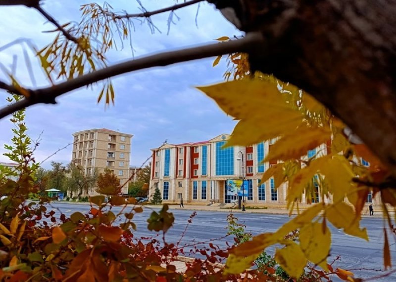 Naxçıvanda yağıntılı hava müşahidə olunub -