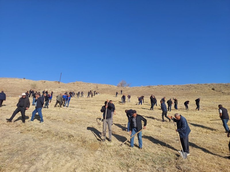 Şahbuz rayonunda Zəfər Gününə həsr olunmuş ağacəkmə aksiyası keçirilib -