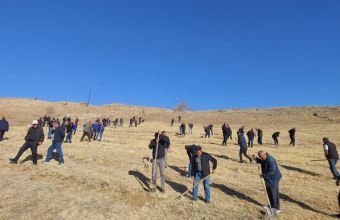 Şahbuz rayonunda Zəfər Gününə həsr olunmuş ağacəkmə aksiyası keçirilib -