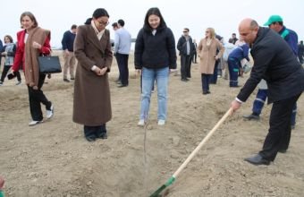TDT-yə üzv ölkələrin QHT-lərindən ibarət nümayəndə heyəti Naxçıvanda ağacəkmə aksiyasında iştirak edib -