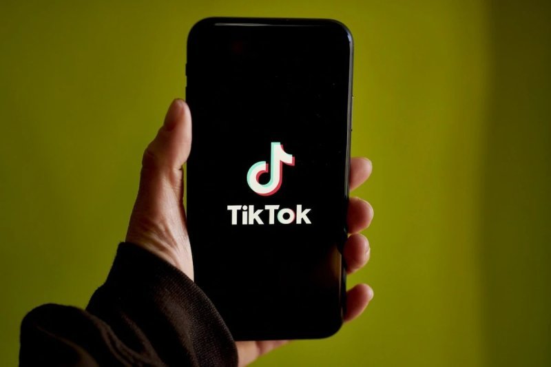 "TikTok"da qeyri-etik paylaşımlar edən şəxs həbs edilib